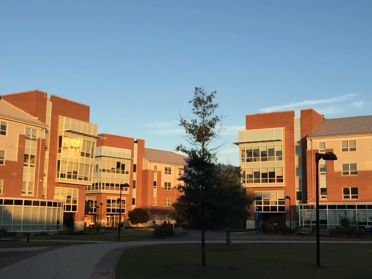 Since ODU's decision to move all courses online for the remainder of the semester, students have had to find alternative living arrangements if they live on campus, and face the possibility that they may not partake in a graduation ceremony if this is their last semester at ODU. 