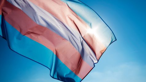 International Transgender Day of Visibility is celebrated each year on Mar. 31 to highlight the accomplishments of the global transgender community.