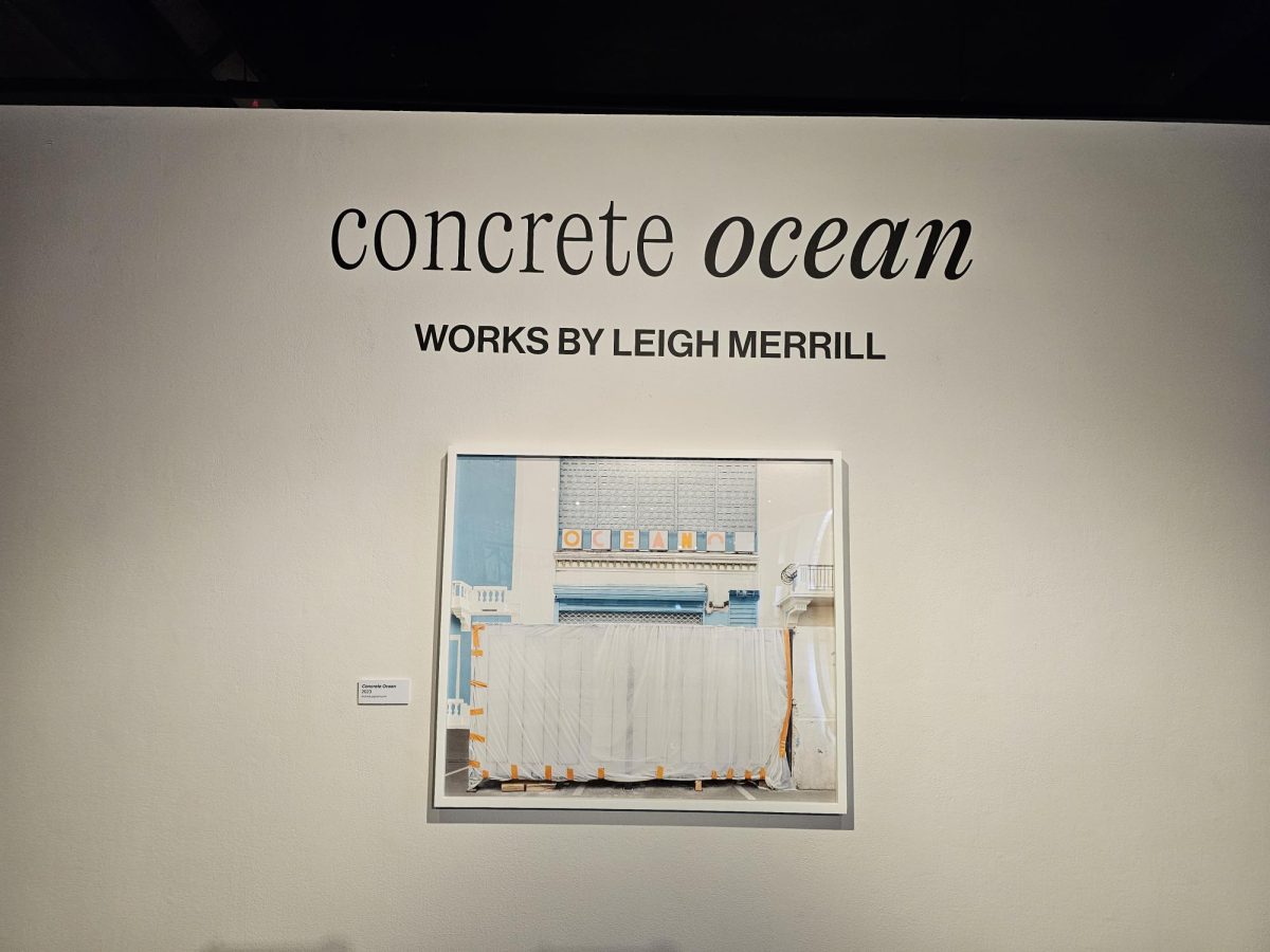 “Concrete Ocean” by Leigh Merrill is on display at the Gordon Art Galleries.
